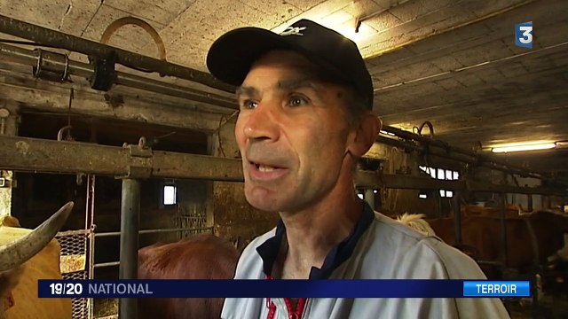 À la découverte du Bleu du Vercors-Sassenage