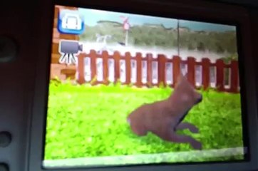 Petz ma famille de chiots.voici Mew