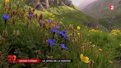 À la découverte du parc national de la Vanoise