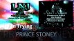 Prince Stoney - Im Trying - Danz RnB Riddim - August 2015 - LNJ R&R Records
