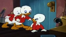 DONthu   ALD DUCK CARTOONS   DONALD DUCK & CHIP AND DALE CARTOON New Compilation 2015