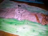 Meine Warrior Cats - Bilder (Mein erstes Video)