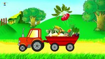 Learning vegetables. Cartoon about a tractor. Developing cartoon