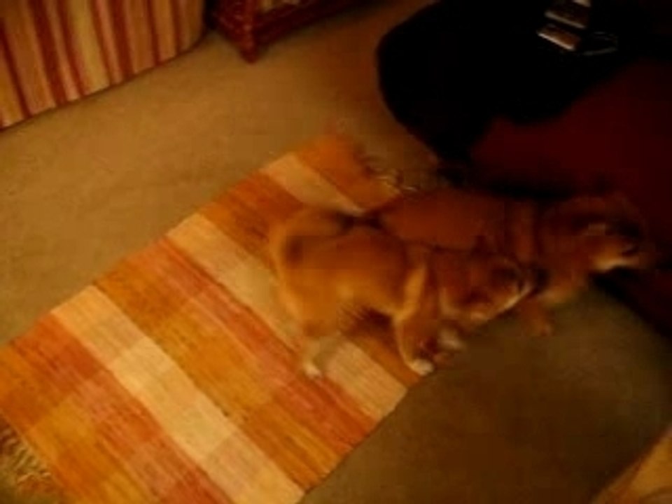 Week end jimmy cecile 032