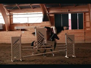 riding bloopers & funny horses