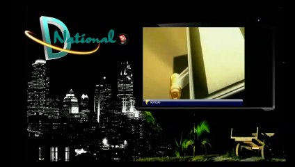 Apresentação Jaqueline Leme -Programa Diário National