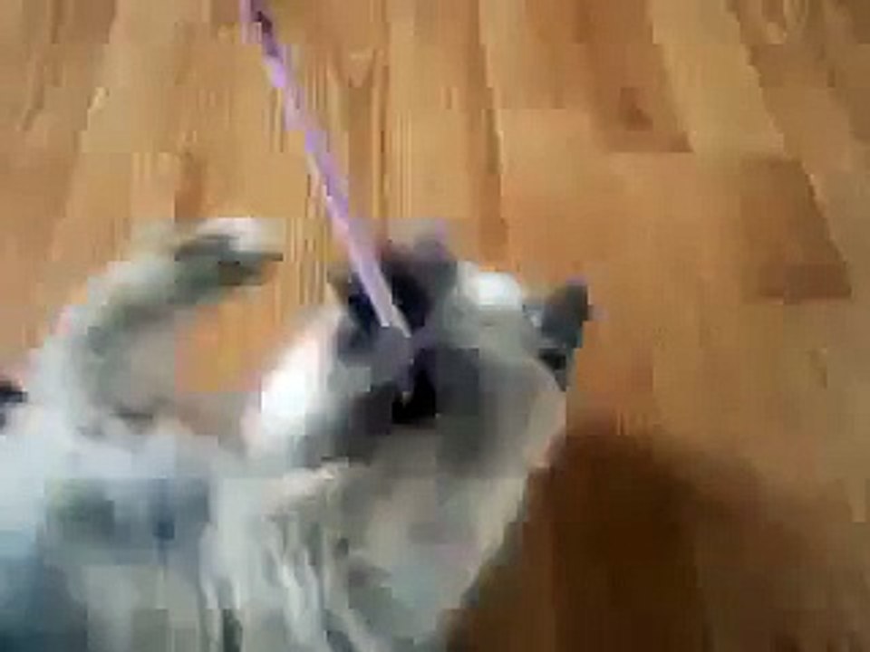 Me Cat