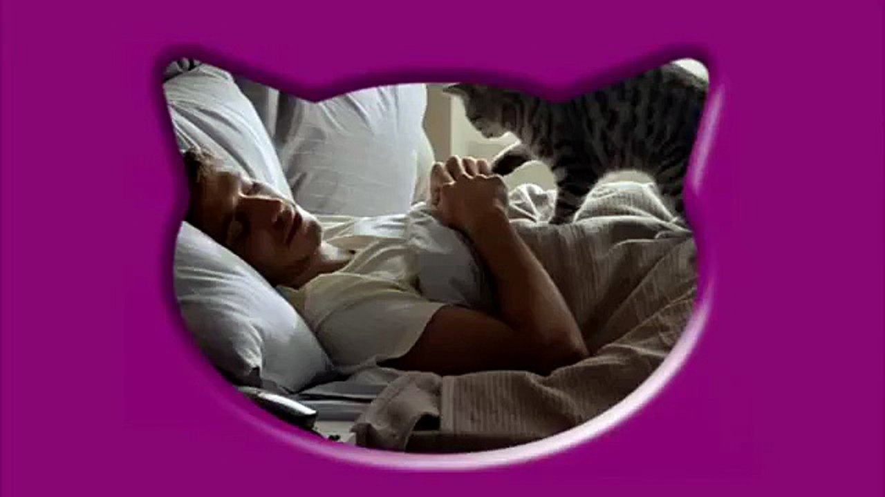 Whiskas® Österreich schnurrt Welttierschutztag TV-Spot/Werbung 2011