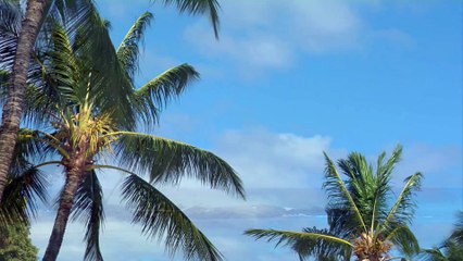 Tour Hawaii's Big Island