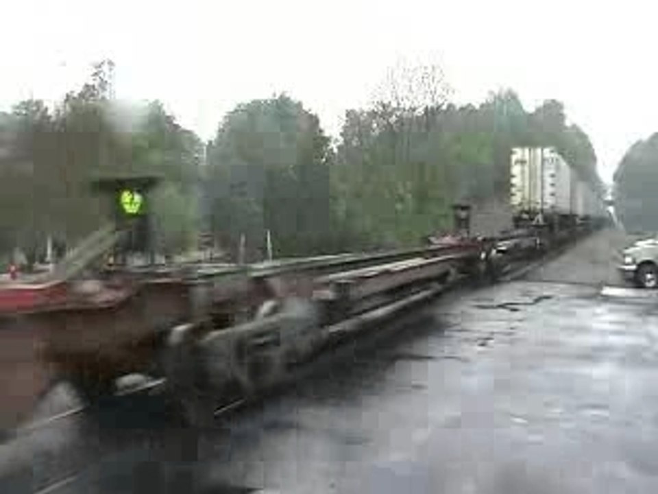 NS #204