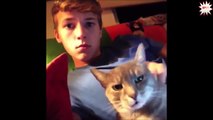 Funny Animals Videos Pikachu Beste Cat vines Best Cat Vine Compilation lustige Katzen Vide