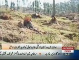 Deforestation Threat for Environment in swat valley Pakistan sherin zada express news swat.flv