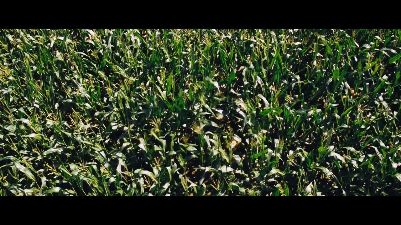 "Goodnight Mommy" : bande annonce 1 (VOSTFR)