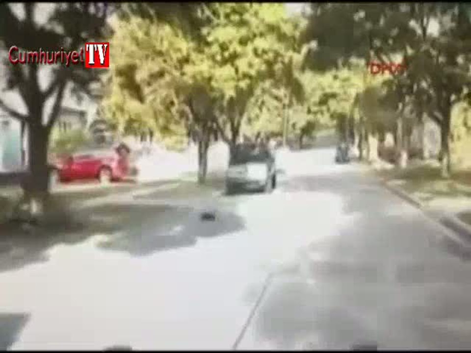 Kafasını yoğurt kabına sıkıştıran kokarcayı polis kurtardı