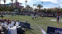 Flyball - 2013 Purina® Incredible Dog Challenge® Las Vegas