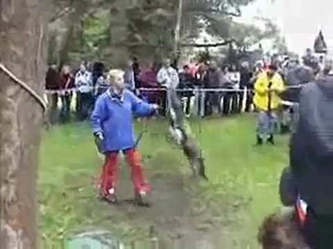 AMERICAN PIT BULL TERRIER