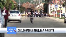 ZILELE ORASULUI TEIUS, LA a 7 a EDITIE