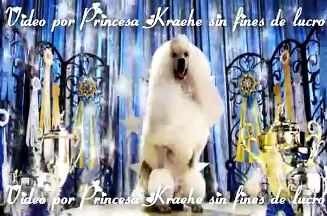 Who Let The Dogs Out