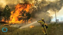 Firefighter Killed, Hundreds Flee as California Blazes Burn