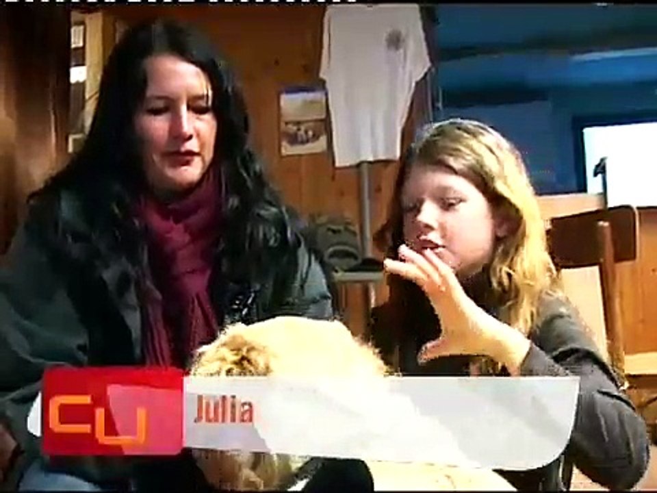 kinderwunsch hundetraining