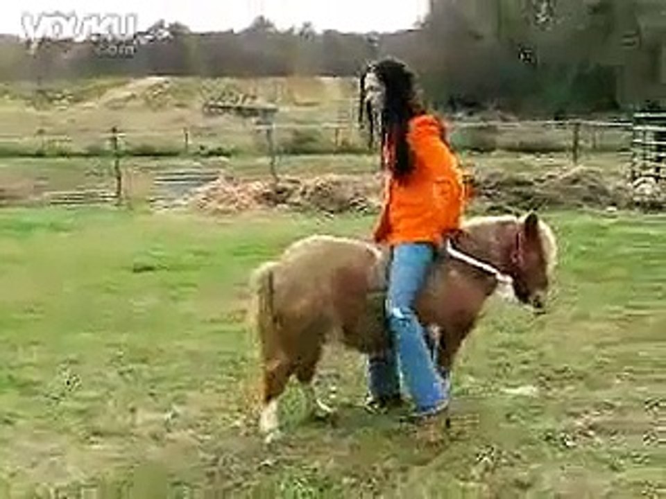 Great Pony Riding - Backward