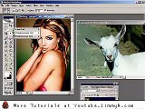 Fullscreen on YT without blur. Photoshop spears into a goat.