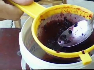 Sok z czarnego Bzu dla gołębi.