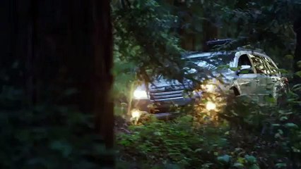 ANDY BRANDY CASAGRANDE IV - SUBARU & NATIONAL GEOGRAPHIC - RC HELICOPTER