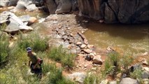 Escalante Canyon Colorado with Epic Western Music