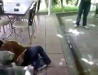 Baby Bear wrestling with Kid