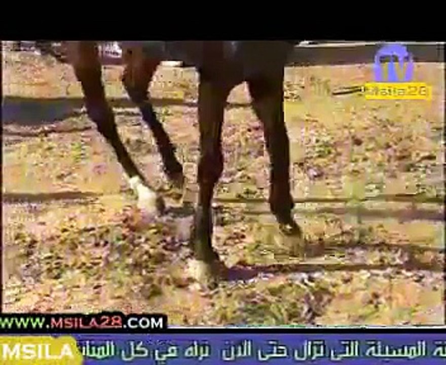 فرسان الحضنة 01