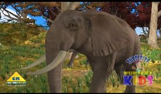 Elephant Finger Family -Kids Rhymes Animal Finger Family Songs & Nursery Rhymes For Children