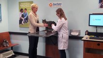 Banfield Pet Hospital - Prevent Dental Disease In Dogs and Cats
