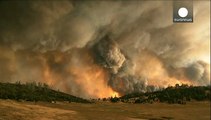 Verheerende Waldbrände in Kalifornien: 9.000 Feuerwehrmänner im Einsatz