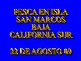 PESCA ISLA SAN MARCOS MULEGE BAJA CALIFORNIA SUR
