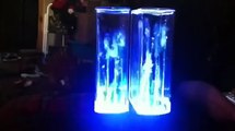 Harry Potter Theme (Dubstep Remix) Water Speakers