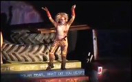 CATS Musical - MaCavity