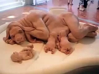 [Me]온라인바카라↔【KBO55⇔COＭ】↔大신규이벤트 온라인바카라사이트/ 인터넷바카라