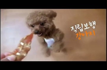 【湲】no.1 온라인바카라사이트+WHO999↔COＭ /#인터넷바카라, 온라인카지노