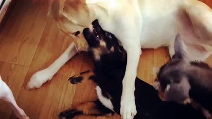 블랙잭 no.1 추천【NIP777。COＭ】 ♂ 빠른충전 신규 이벤트 온라인블랙잭