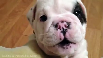 『$』엠게이밍【OPEC777。COＭ】블랙잭사이트 실시간바카라 / 온라인블랙잭