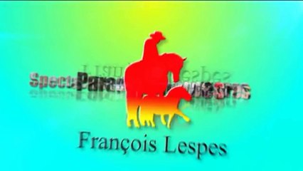 Lespes TV: Grace Hollogne - Kermesse d'Antan 2015