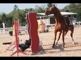 Les plus belles chutes de cheval 2009