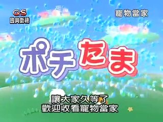 寵物當家之旅20110424