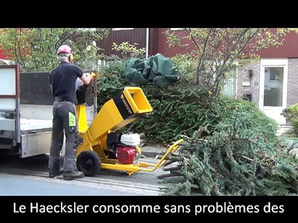 Broyeur de branches et végétaux pro -Haecksler Vario-