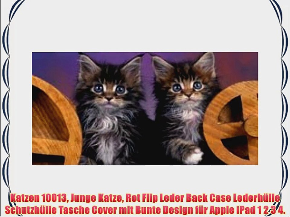 Katzen 10013 Junge Katze Rot Flip Leder Back Case Lederh?lle Schutzh?lle Tasche Cover mit Bunte