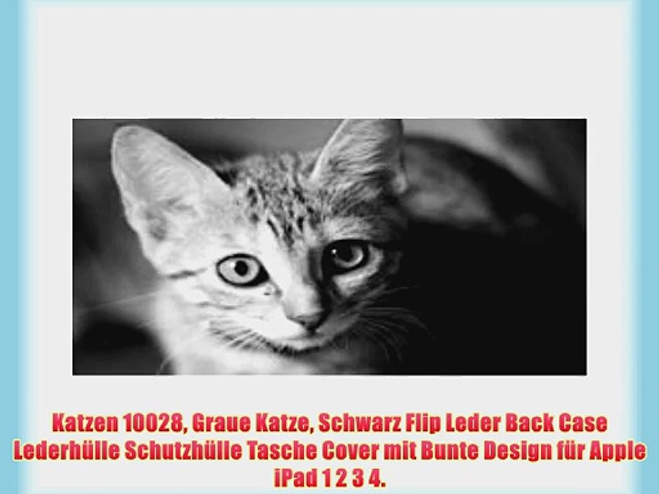 Katzen 10028 Graue Katze Schwarz Flip Leder Back Case Lederh?lle Schutzh?lle Tasche Cover mit