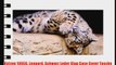 Katzen 10056 Leopard Schwarz Leder Klap Case Cover Tasche Aufklappbar Lederh?lle Flipcase mit
