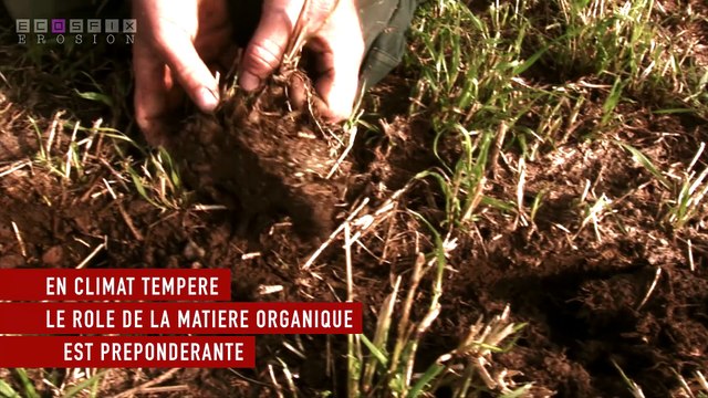 ECOSFIX - quels rôles jouent les racines des pla,ntes dans les processus d'érosion ?