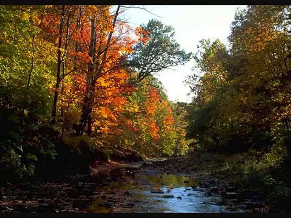 أناشيد الأطفال : هللي يا رياح